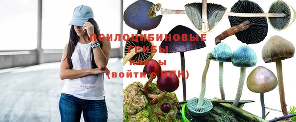 бошки Аркадак