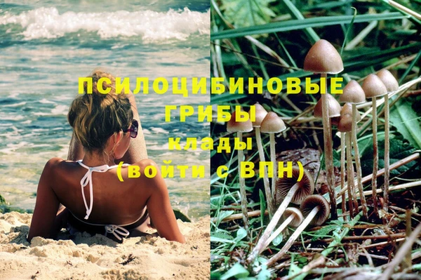 бошки Аркадак
