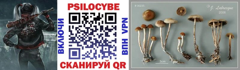закладка  Рыбное  Псилоцибиновые грибы прущие грибы 